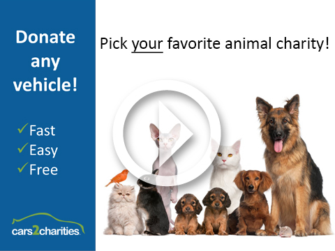 Car Donation to Animal Rescue | Riteway Charity Services