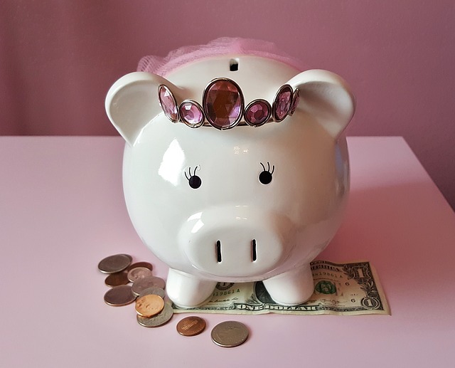 piggy bank crown tutu change